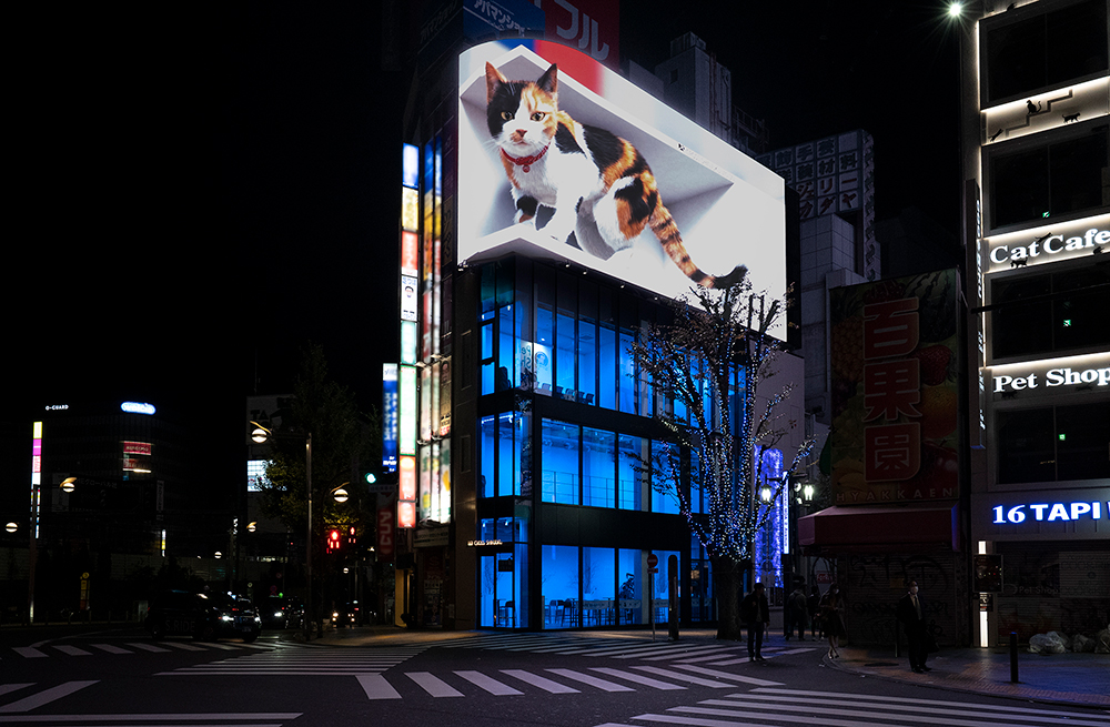 クロス新宿 スペース