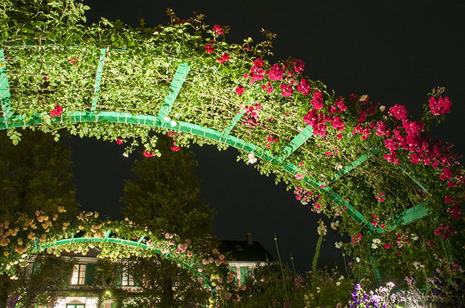 浜名湖ガーデンパーク 花美の庭 ライトアップ 光と庭の夜想曲 照明器具のマックスレイ ウシオライティング 製品サイト