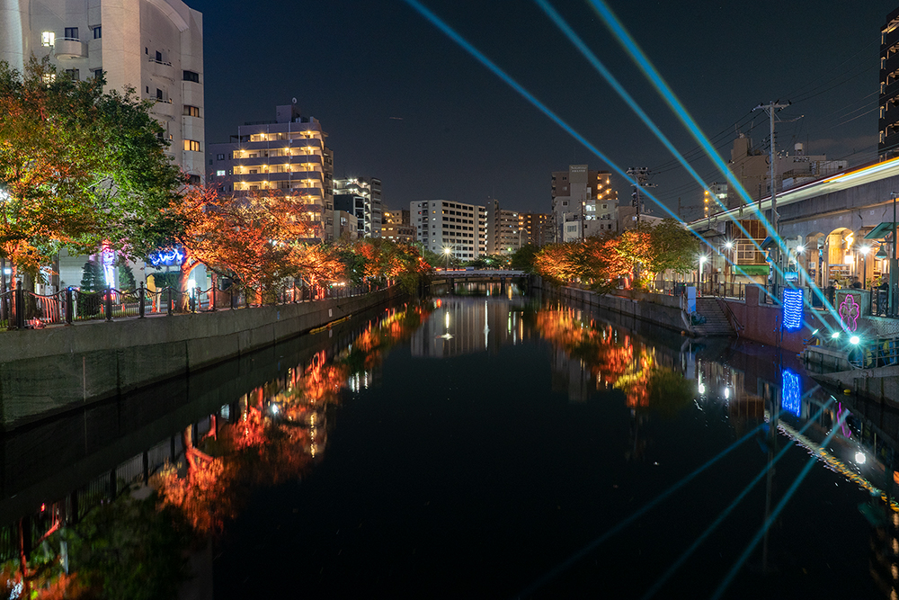 大岡川 ひかりの川辺 2019（横浜市）