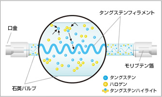 ハロゲン球の図