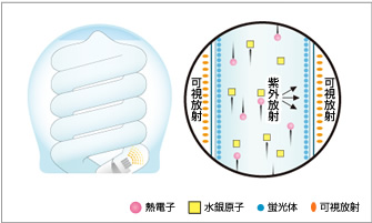 電球形蛍光灯の図