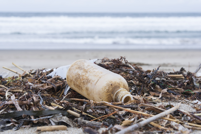 海洋プラスチック問題が世界で深刻化。バイオマスプラスチック「MAPKA」で解決できる課題とは